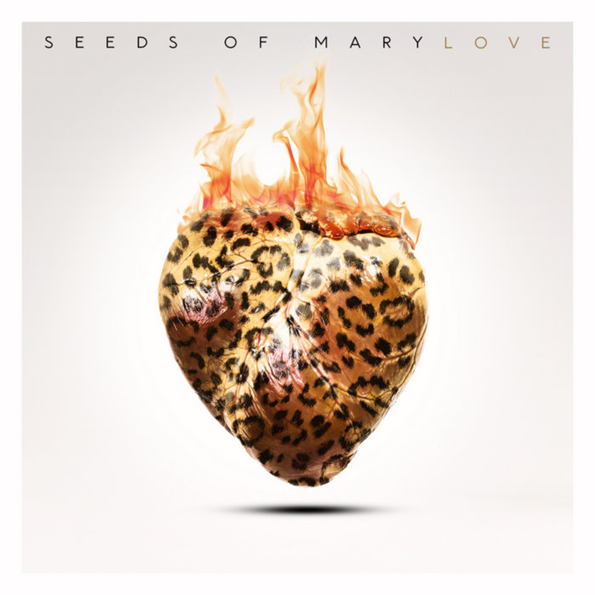 Seeds of Mary - Love