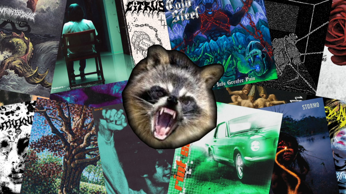 Raton et la bagarre #20