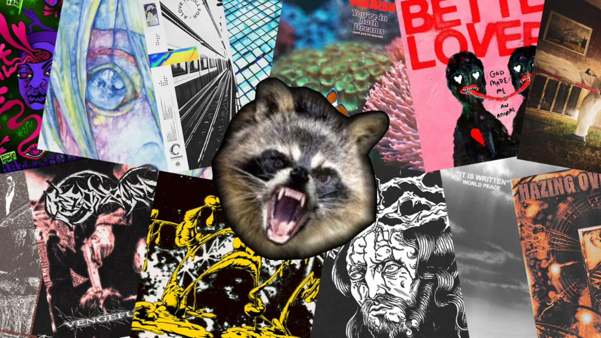 Raton et la bagarre #23
