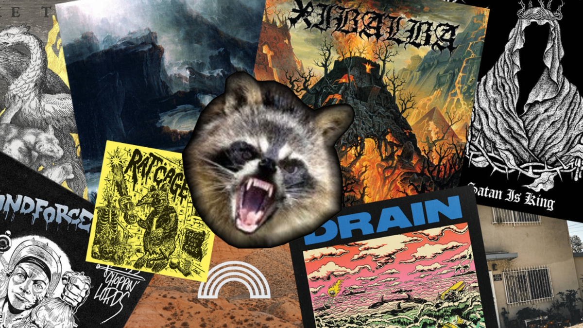 Raton et la bagarre #4
