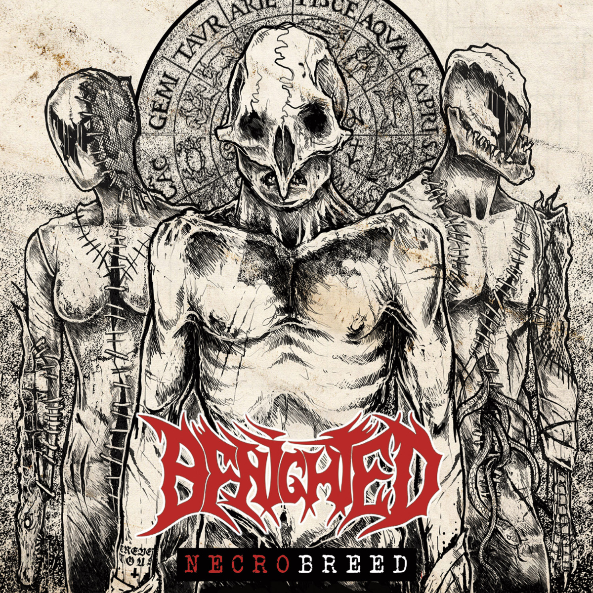 SOM406-Benighted-1500X1500px-300dpi-RGB