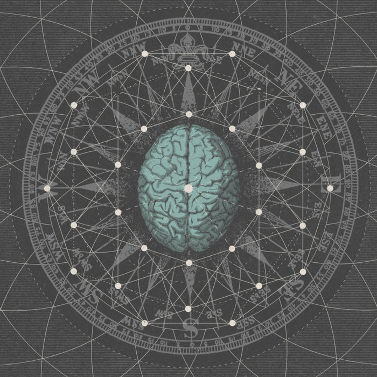 Zsk_bipolar_meta_site