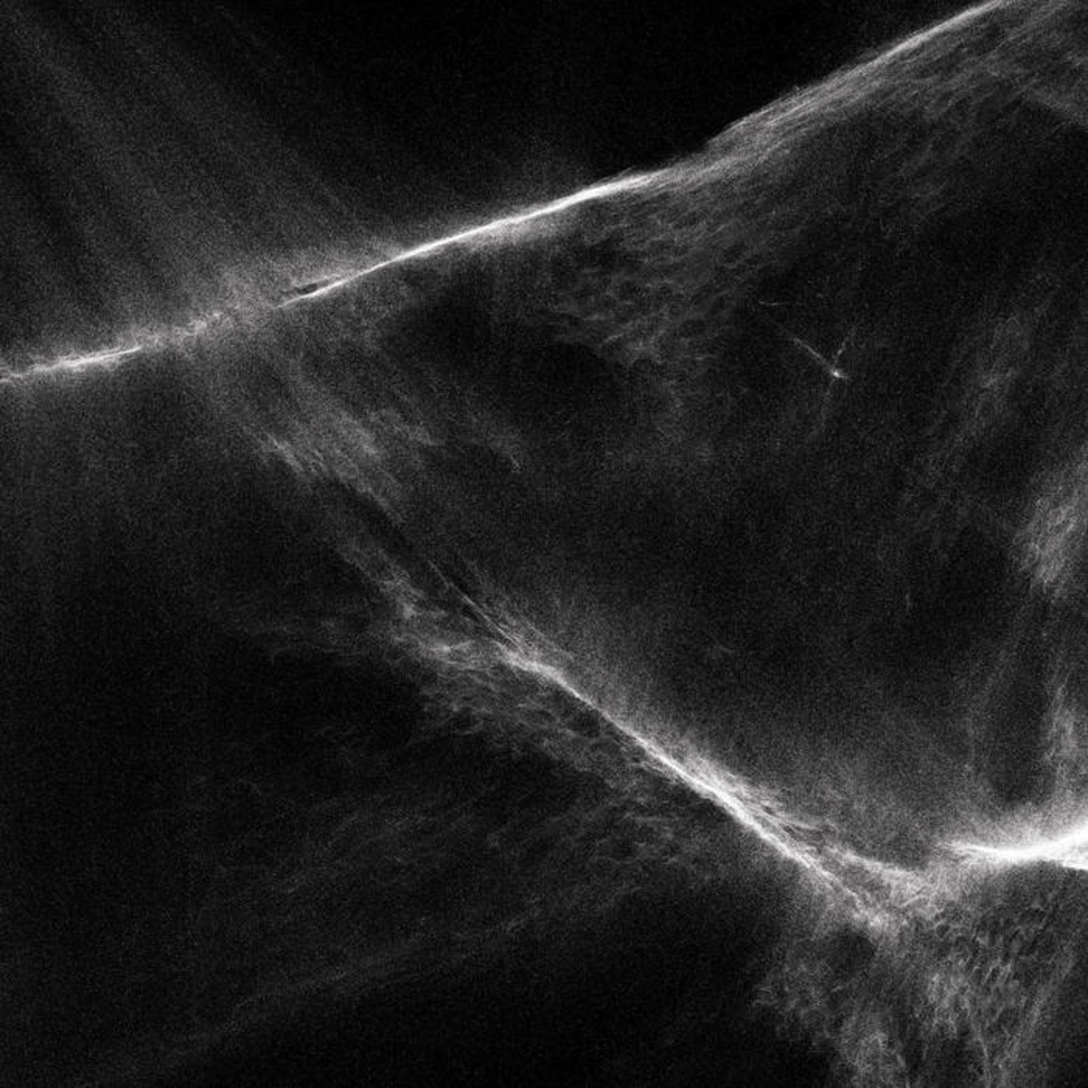 Zsk_finallight_site